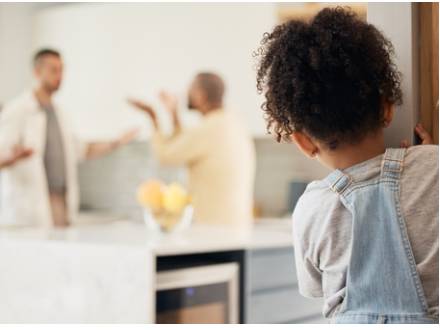 Chicago, IL LGBTQ Family Attorney